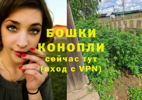 альфа пвп Гусь-Хрустальный