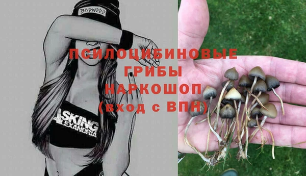 метамфетамин Гусев