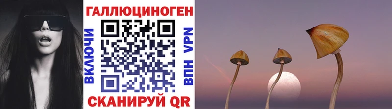 ссылка на мегу   наркошоп  Петухово  Галлюциногенные грибы Psilocybe 
